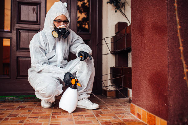 Attic and Crawl Space Rodent Treatment in Butler Beach
