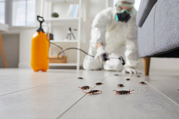 Commercial Rodent Management in Butler Beach